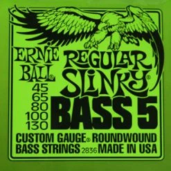 Ernie Ball Regular Slinky Electric 5 String Bass Strings 45-130 Electric Guitar Strings