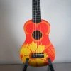 Amahi Ukulele Amahi Soprano Orange Flower Ukulele DDUK5